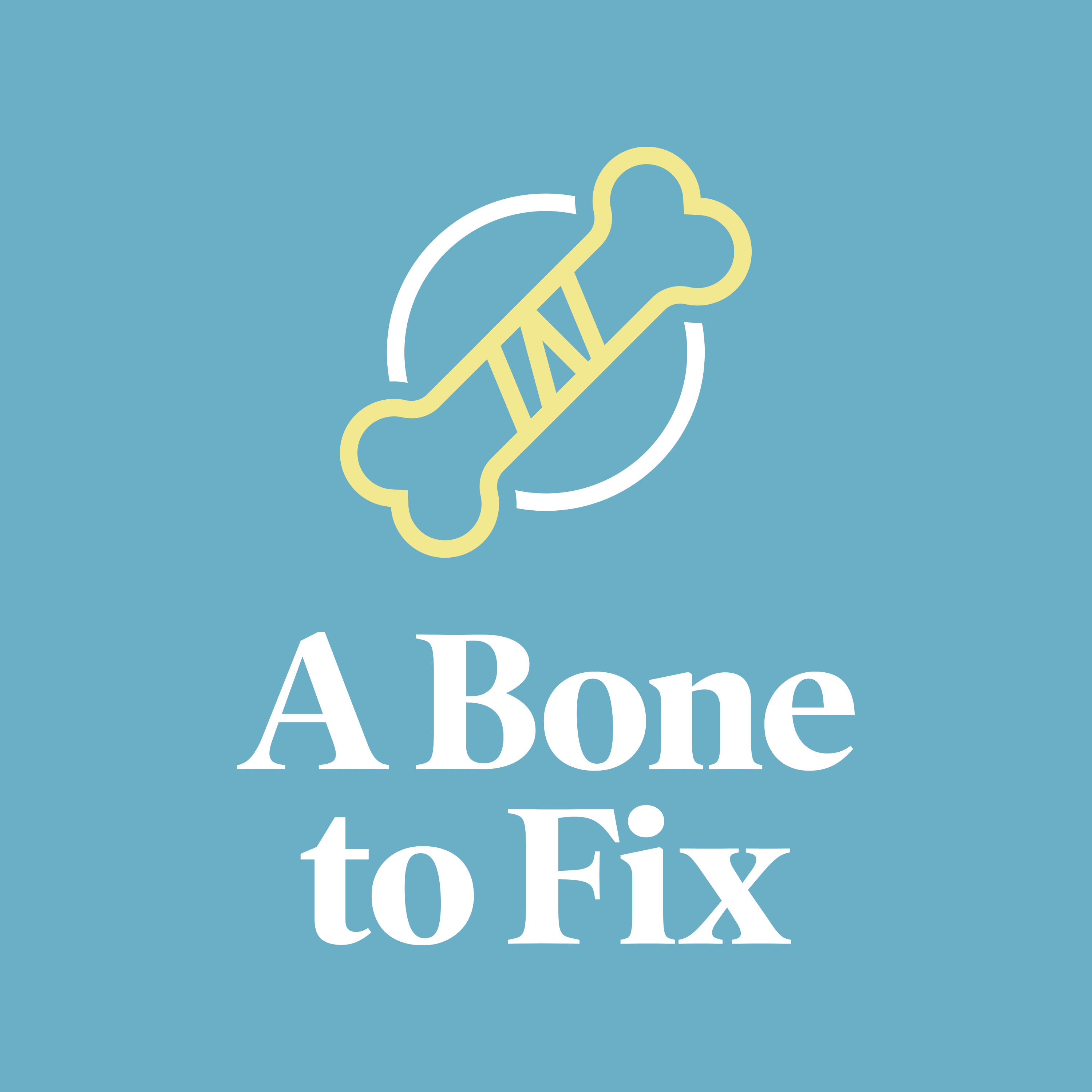 A Bone to Fix-From The Orthopaedic Associates Of Central Maryland Division
