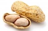 Ask Dr. Mike: Magnesium Stearate &amp; New Peanut Allergy Study
