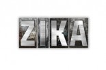 the-zika-virus-should-you-be-worried