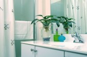 Toxic Shower Curtains &amp; Healthy Alternatives