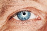 understanding-the-aging-eye-process