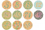 Do You Really Need to See in Color?