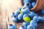 Blueberries: Tiny Balls of Nutrients
