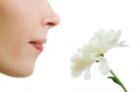Ask Dr. Mike: Antioxidant Era &amp; Is a Lack of Smell a Sign of Aging?