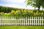 Beyond White Picket Fences: What It Means to Be Happy