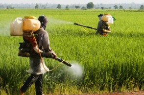 Healthy Steps: GMO Companies Profit Under Guise of &quot;Feeding the World&quot;
