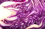 Red Cabbage is Good for Bad Nerves