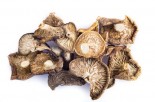 Ask Dr. Mike: Buying Supplements Overseas, Herbal Remedy Benefits &amp; Medicinal Mushrooms