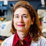 new-frontiers-in-diabetes-research
