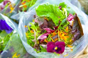 Spring Into a Healthier Diet