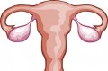 Should You Be Removing Your Ovaries & Fallopian Tubes?