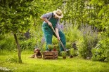 planting-a-pet-safe-garden