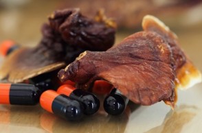 Health Benefits of Medicinal Mushrooms