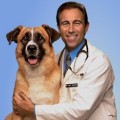 Ep5 - Halloween &amp; Life with Pets: Dr. Jeff Werber