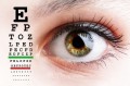 Top Foods to Improve Eye Health