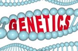 Diet, Disease &amp; Destiny: Optimize Your Health with the Gene Therapy Plan