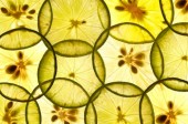 Beating Cancer with Agressive Nutrition