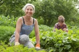 Local Farms &amp; CSA Programs