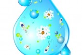 Climate Change &amp; Waterborne Illness