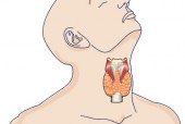 The Ins &amp; Outs of Restoring Thyroid Function