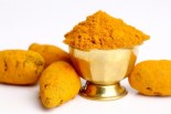 Curcumin &amp; Inflamation: Overweight Cats Provide Insight