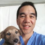 Veterinary Adventures: A Journey with Dr. Paul Maza