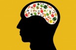 food-the-gut-brain-connection
