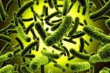 Flesh-Eating Disease: New Treatment for a Scary Killer 